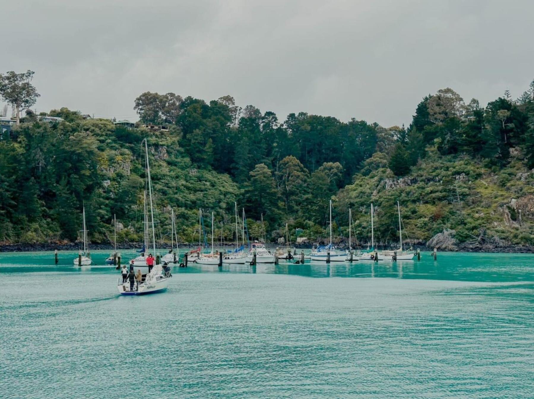 Diamond Harbour The Outlook By Tiny Awayヴィラ エクステリア 写真