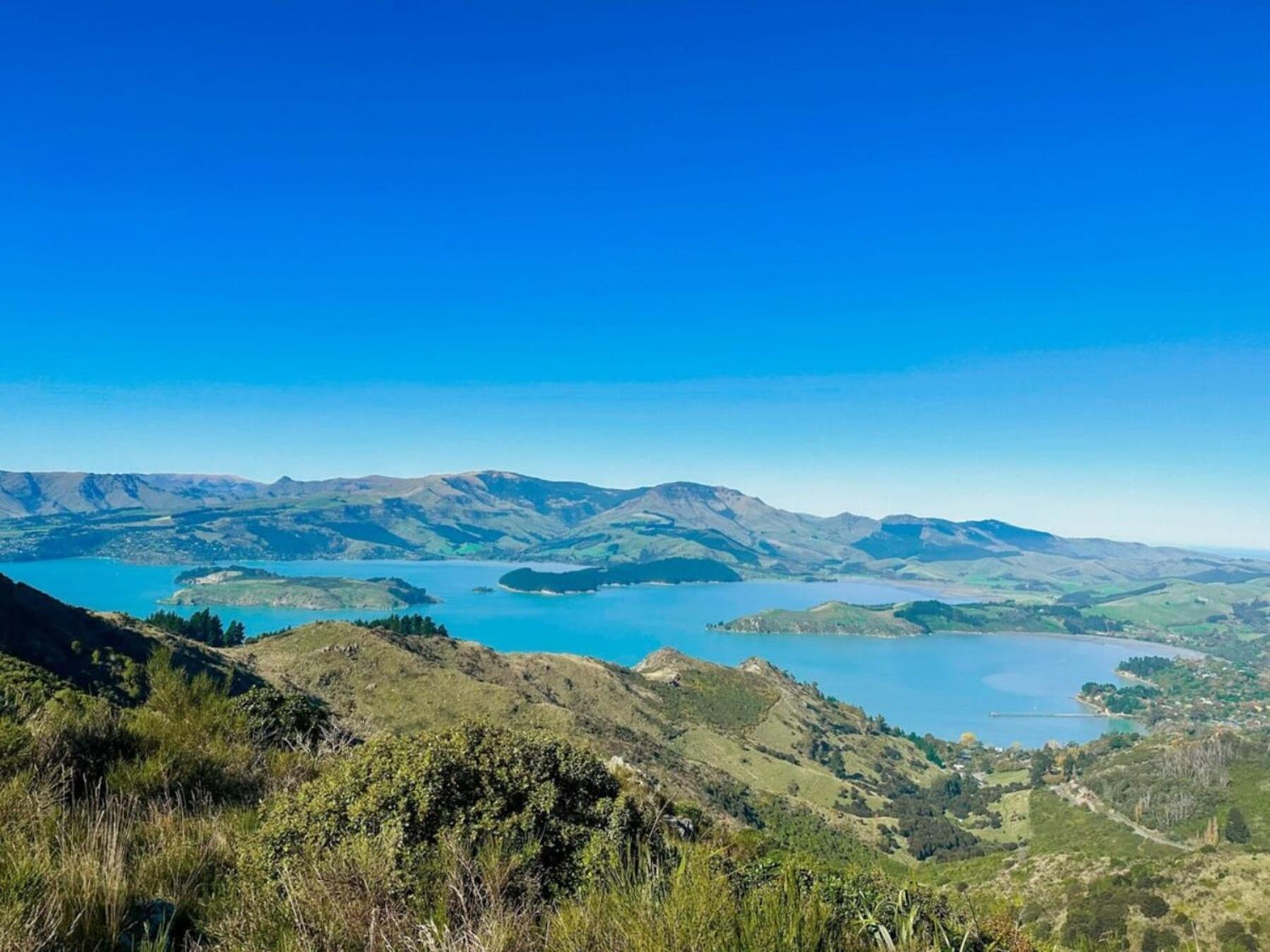 Diamond Harbour The Outlook By Tiny Awayヴィラ エクステリア 写真