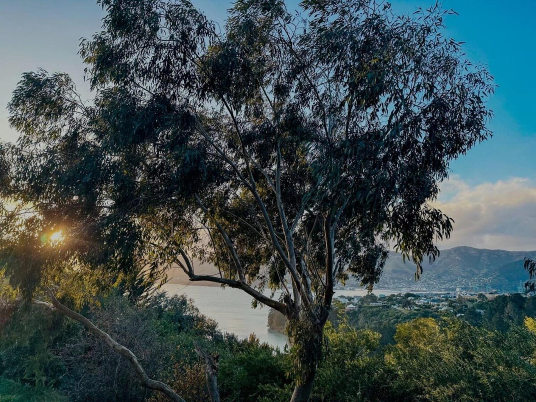 Diamond Harbour The Outlook By Tiny Awayヴィラ エクステリア 写真
